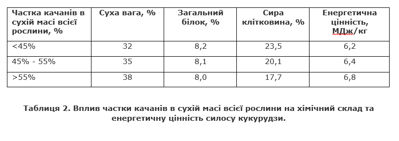 Вплив частки качанів в сухій масі всієї рослини на хімічний склад та енергетичну цінність силосу кукурудзи.